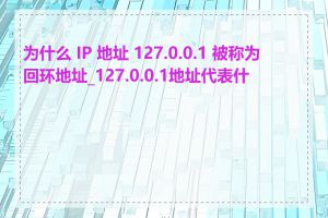 为什么 IP 地址 127.0.0.1 被称为回环地址_127.0.0.1地址代表什么