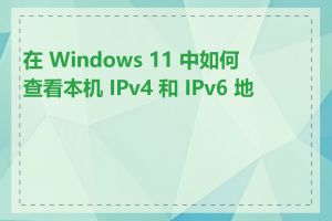 在 Windows 11 中如何查看本机 IPv4 和 IPv6 地址