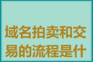 域名拍卖和交易的流程是什么