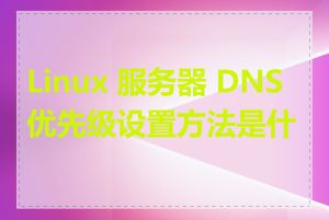 Linux 服务器 DNS 优先级设置方法是什么