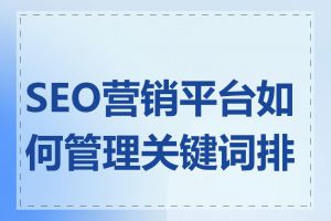 SEO营销平台如何管理关键词排名