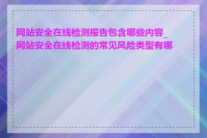 网站安全在线检测报告包含哪些内容_网站安全在线检测的常见风险类型有哪些