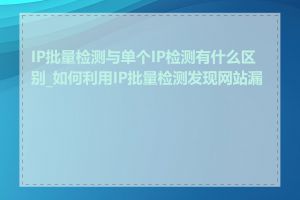 IP批量检测与单个IP检测有什么区别_如何利用IP批量检测发现网站漏洞