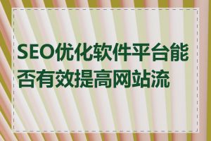 SEO优化软件平台能否有效提高网站流量