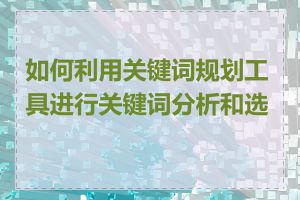 如何利用关键词规划工具进行关键词分析和选择