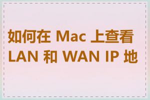 如何在 Mac 上查看 LAN 和 WAN IP 地址