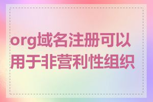 org域名注册可以用于非营利性组织吗