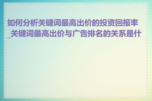 如何分析关键词最高出价的投资回报率_关键词最高出价与广告排名的关系是什么