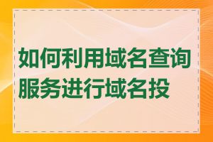 如何利用域名查询服务进行域名投资