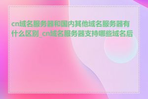 cn域名服务器和国内其他域名服务器有什么区别_cn域名服务器支持哪些域名后缀