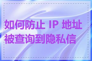 如何防止 IP 地址被查询到隐私信息