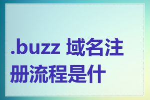 .buzz 域名注册流程是什么