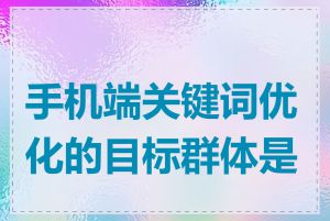 手机端关键词优化的目标群体是谁