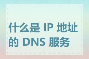 什么是 IP 地址的 DNS 服务器