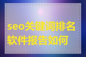 seo关键词排名软件报告如何看