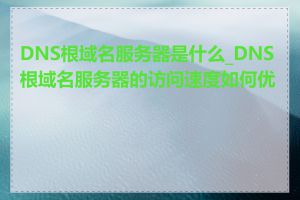 DNS根域名服务器是什么_DNS根域名服务器的访问速度如何优化