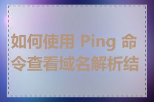 如何使用 Ping 命令查看域名解析结果