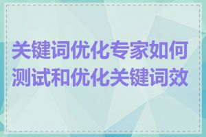 关键词优化专家如何测试和优化关键词效果