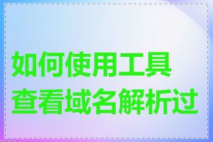 如何使用工具查看域名解析过程