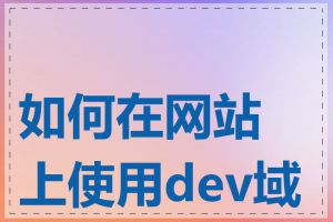 如何在网站上使用dev域名