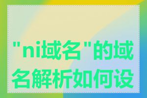 "ni域名"的域名解析如何设置