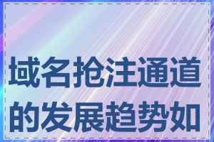 域名抢注通道的发展趋势如何