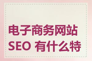 电子商务网站 SEO 有什么特点