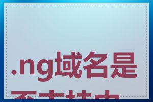 .ng域名是否支持中文