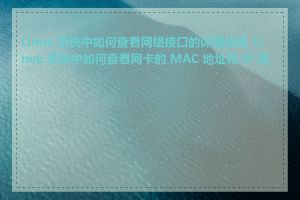 Linux 系统中如何查看网络接口的详细信息_Linux 系统中如何查看网卡的 MAC 地址和 IP 地址