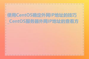 使用CentOS确定外网IP地址的技巧_CentOS服务器外网IP地址的查看方式