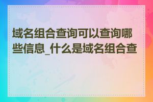 域名组合查询可以查询哪些信息_什么是域名组合查询