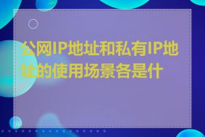 公网IP地址和私有IP地址的使用场景各是什么