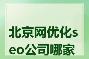 北京网优化seo公司哪家好