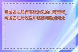 网域名注册有哪些常见的付费套餐_网域名注册过程中遇到问题如何处理