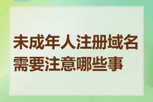 未成年人注册域名需要注意哪些事项