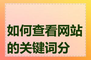 如何查看网站的关键词分布