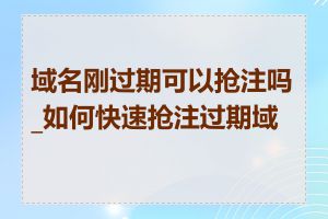 域名刚过期可以抢注吗_如何快速抢注过期域名