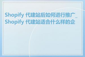 Shopify 代建站后如何进行推广_Shopify 代建站适合什么样的企业