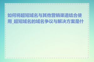 如何将超短域名与其他营销渠道结合使用_超短域名的域名争议与解决方案是什么