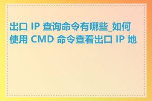 出口 IP 查询命令有哪些_如何使用 CMD 命令查看出口 IP 地址