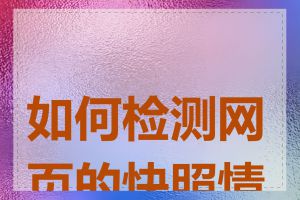 如何检测网页的快照情况