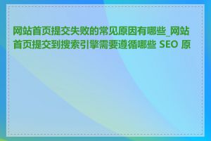 网站首页提交失败的常见原因有哪些_网站首页提交到搜索引擎需要遵循哪些 SEO 原则