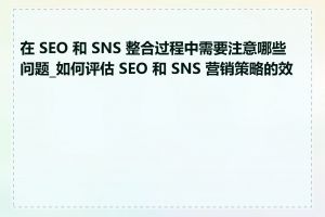 在 SEO 和 SNS 整合过程中需要注意哪些问题_如何评估 SEO 和 SNS 营销策略的效果