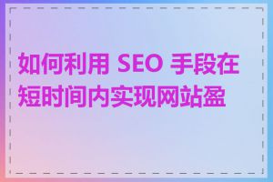 如何利用 SEO 手段在短时间内实现网站盈利