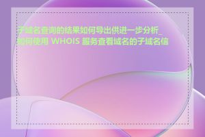 子域名查询的结果如何导出供进一步分析_如何使用 WHOIS 服务查看域名的子域名信息