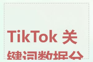 TikTok 关键词数据分析