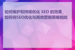 如何维护和持续优化 SEO 的效果_如何将SEO优化与其他营销策略相结合