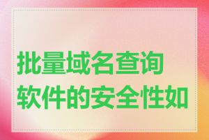 批量域名查询软件的安全性如何