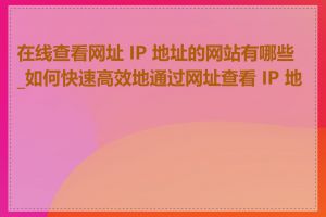 在线查看网址 IP 地址的网站有哪些_如何快速高效地通过网址查看 IP 地址