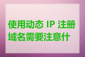 使用动态 IP 注册域名需要注意什么